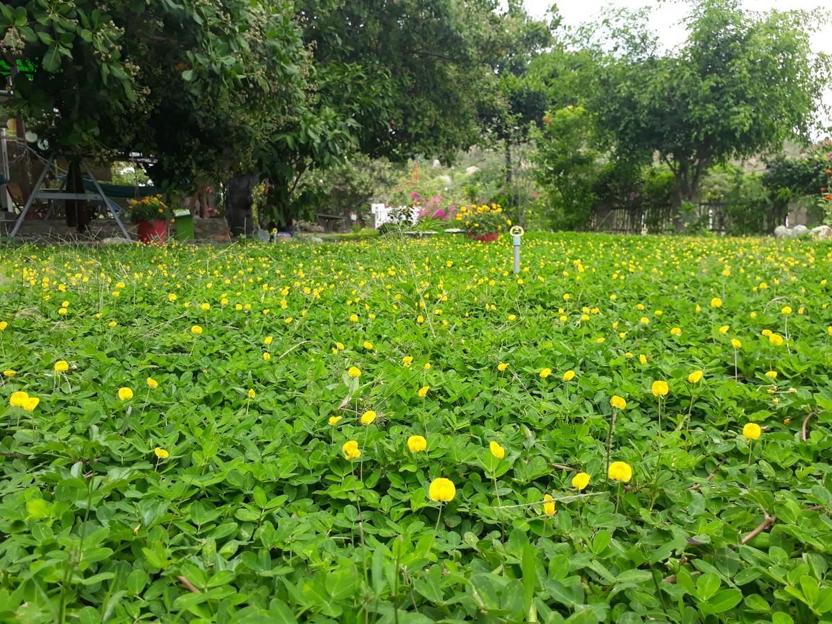 Dao Hoa Vang Villa Cam Ranh Exteriér fotografie