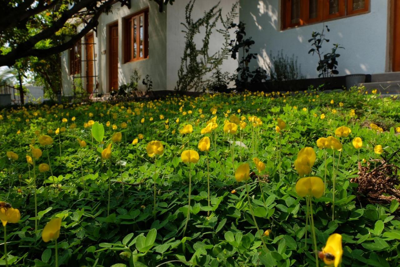 Dao Hoa Vang Villa Cam Ranh Exteriér fotografie