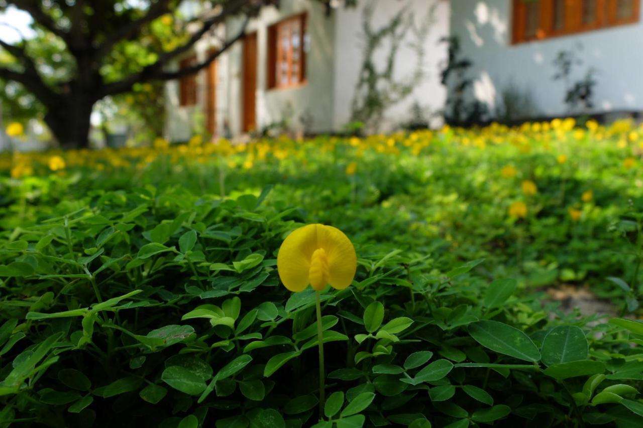 Dao Hoa Vang Villa Cam Ranh Exteriér fotografie
