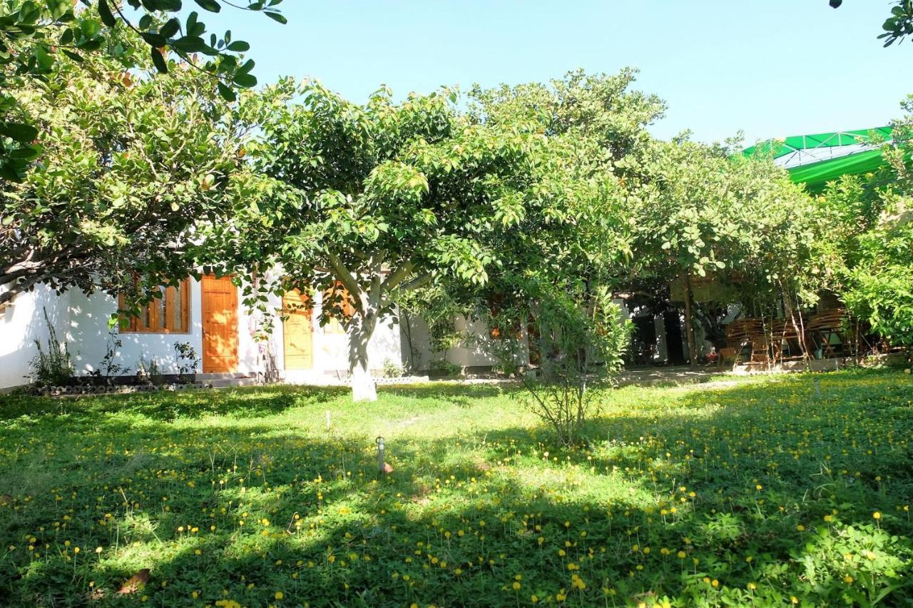 Dao Hoa Vang Villa Cam Ranh Exteriér fotografie
